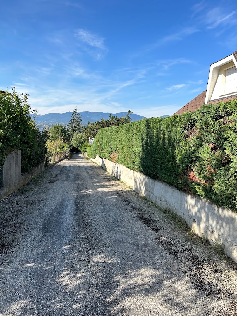 3M entretien d’espaces vert et petit travaux — Photos 4