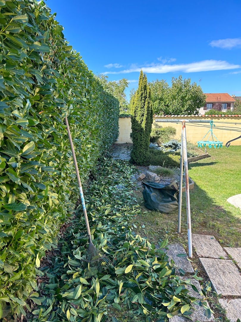 3M entretien d’espaces vert et petit travaux — Photos 3
