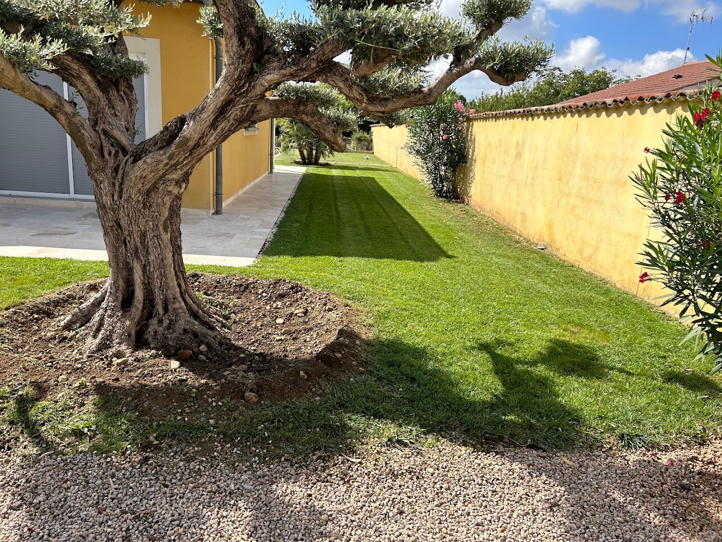 3M entretien d’espaces vert et petit travaux — Photos 1